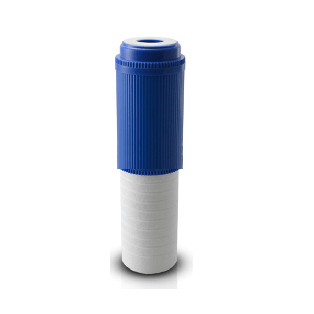 Filtro a carbone attivo GAC ECO da 12 pollici con connessione