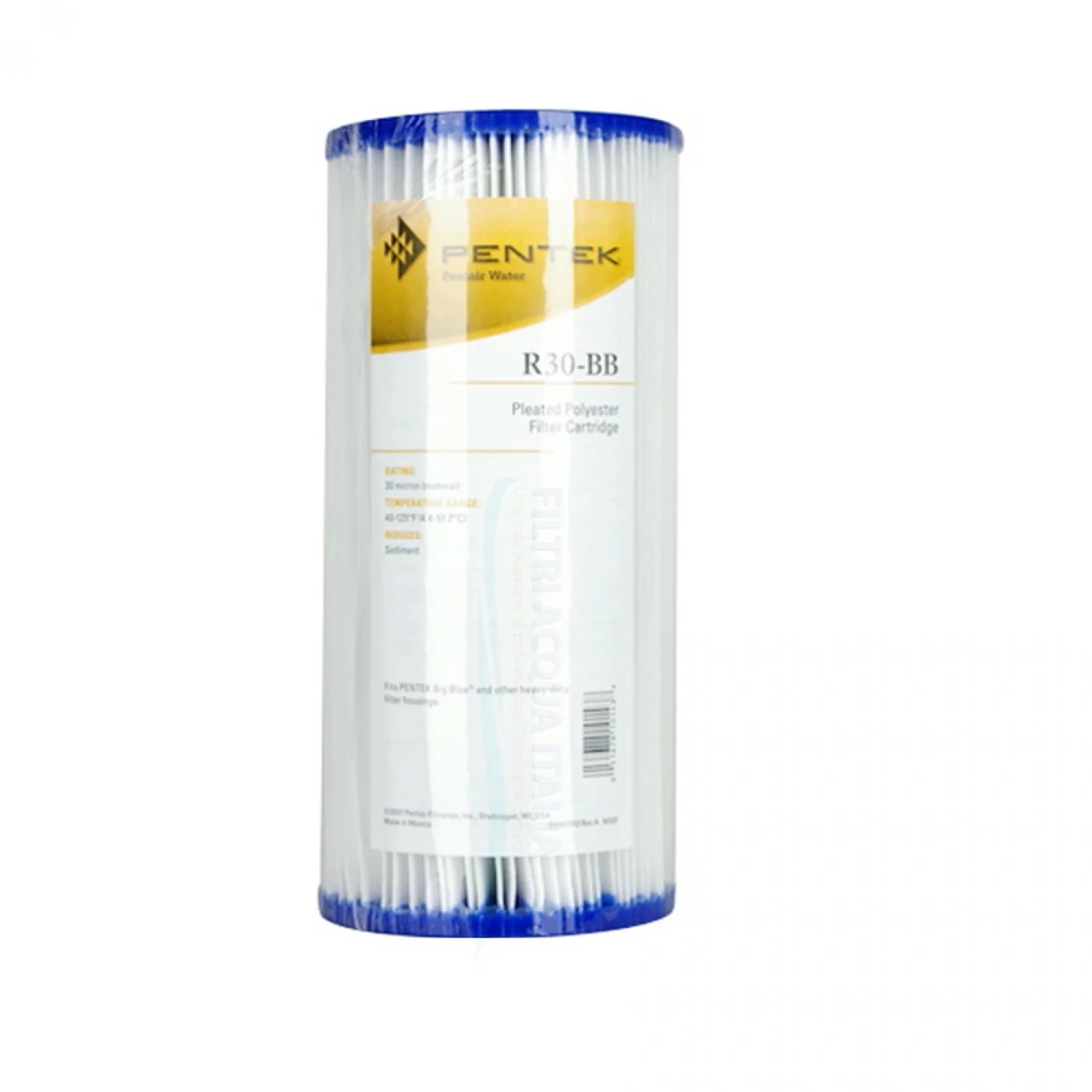CARTUCCIA LAVABILE PENTEK R30 BB 10 Pollici Micron 30 CARTUCCIA LAVABILE PENTEK R30 BB 10 Pollici Micron 30