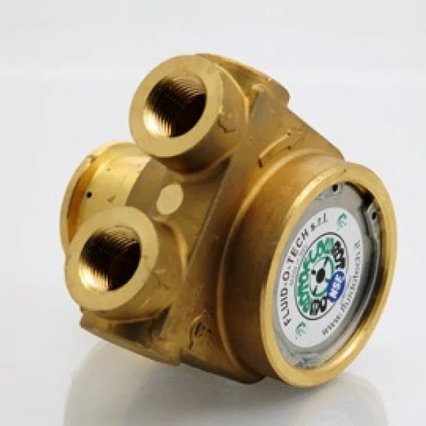 Pompa Rotativa a Palette 800 lt/h con BY PASS