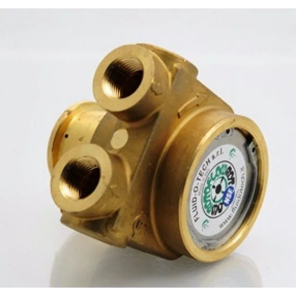 Pompa Rotativa a Palette 600 lt/h 