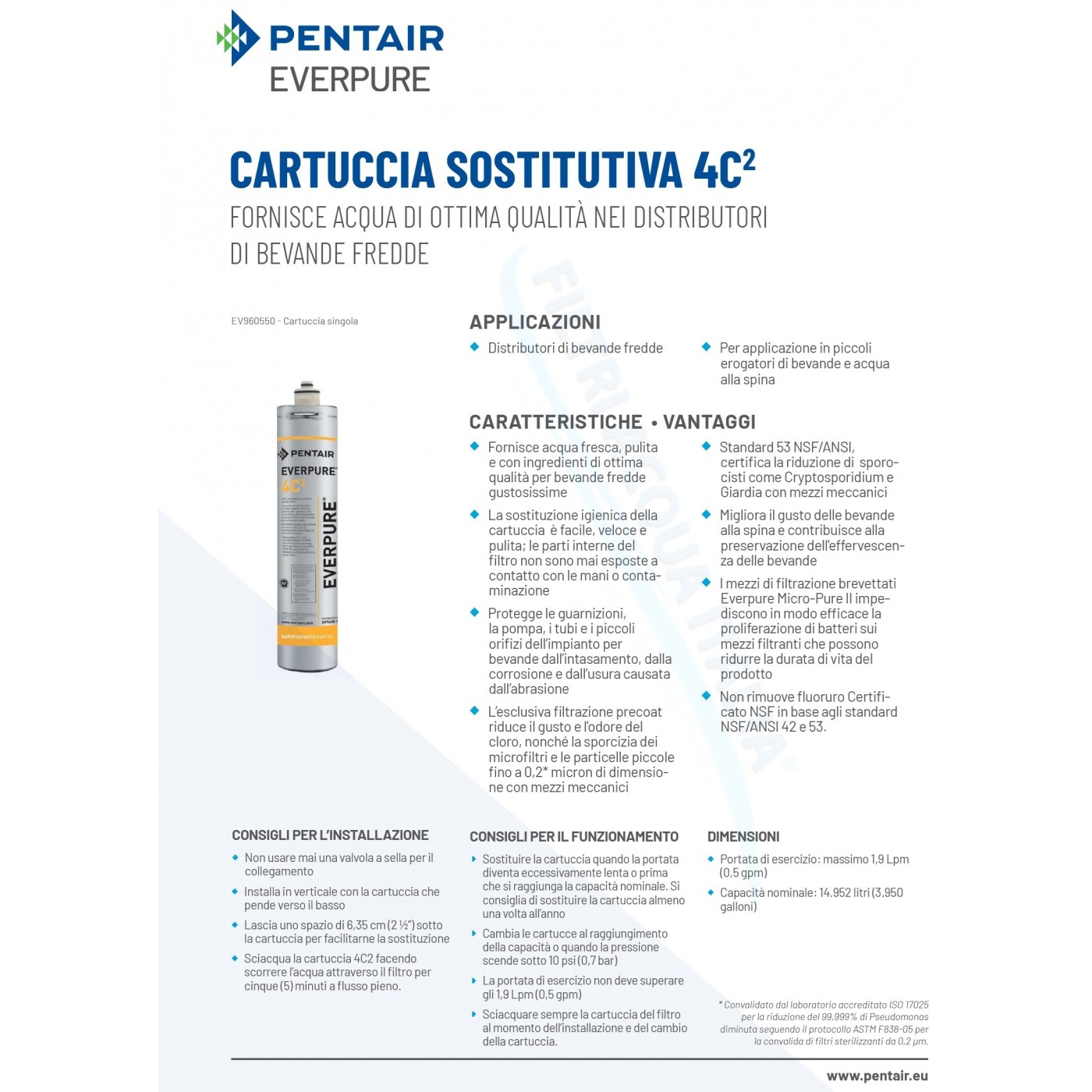 Everpure 4C2 EV9605-50: Protezione Antibatterica con Sali d'Argento Set 6 Pz Everpure 4C2 EV9605-50: Protezione Antibatterica con Sali d'Argento Set 6 Pz