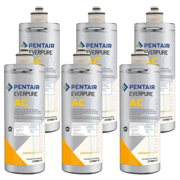 Everpure 4C EV960112 Water Filter Kit – Complete With Head & Fittings (SOLUZIONEACQUA, Made In Italy)