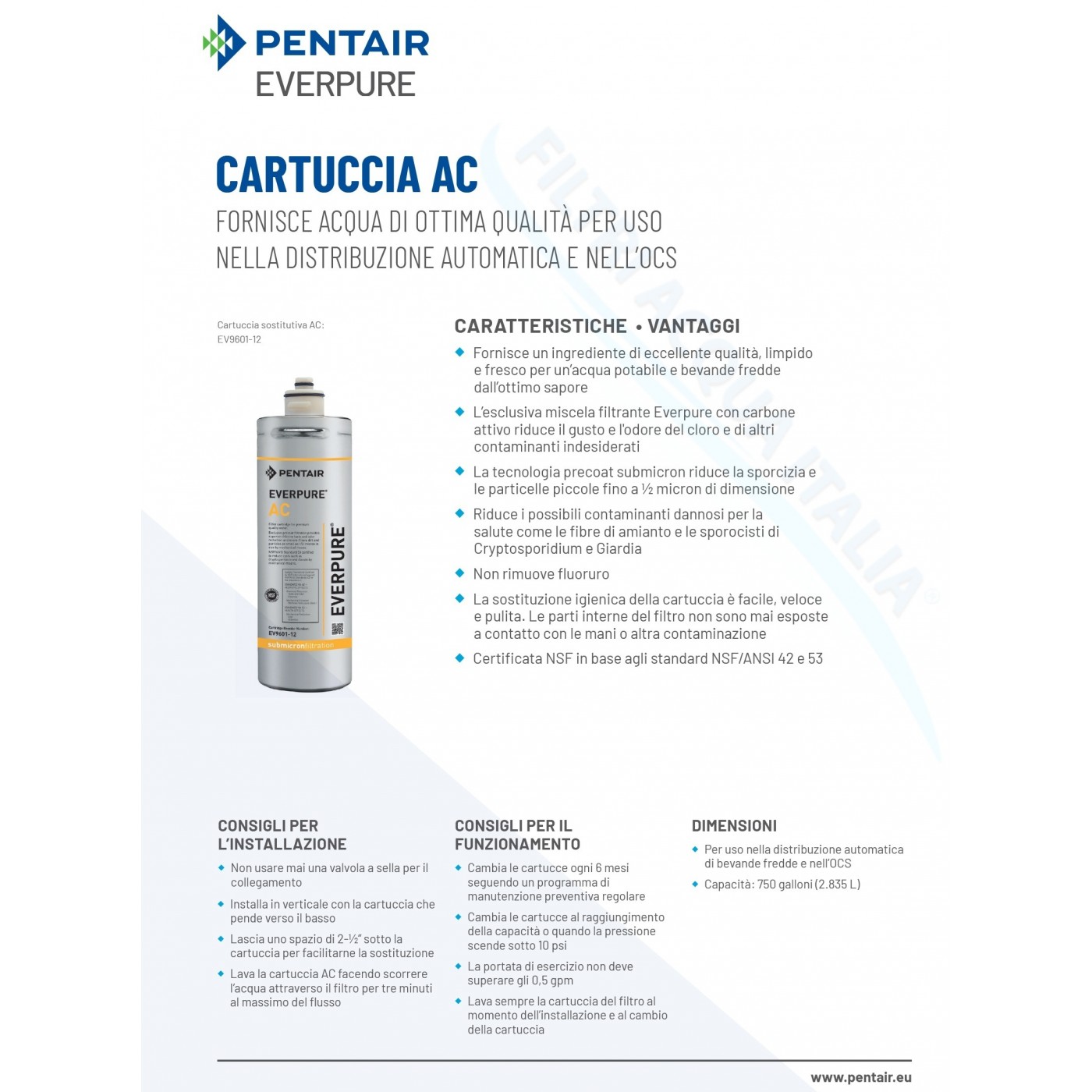 EVERPURE AC + Scheda Sblocco EVERPURE AC + Scheda Sblocco