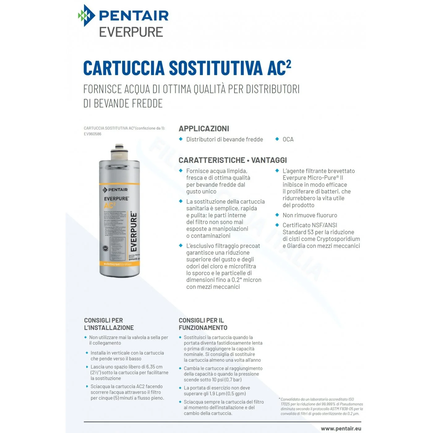 EVERPURE AC2 Set 2 Pezzi EV9605-80 EVERPURE AC2 Set 2 Pezzi EV9605-80