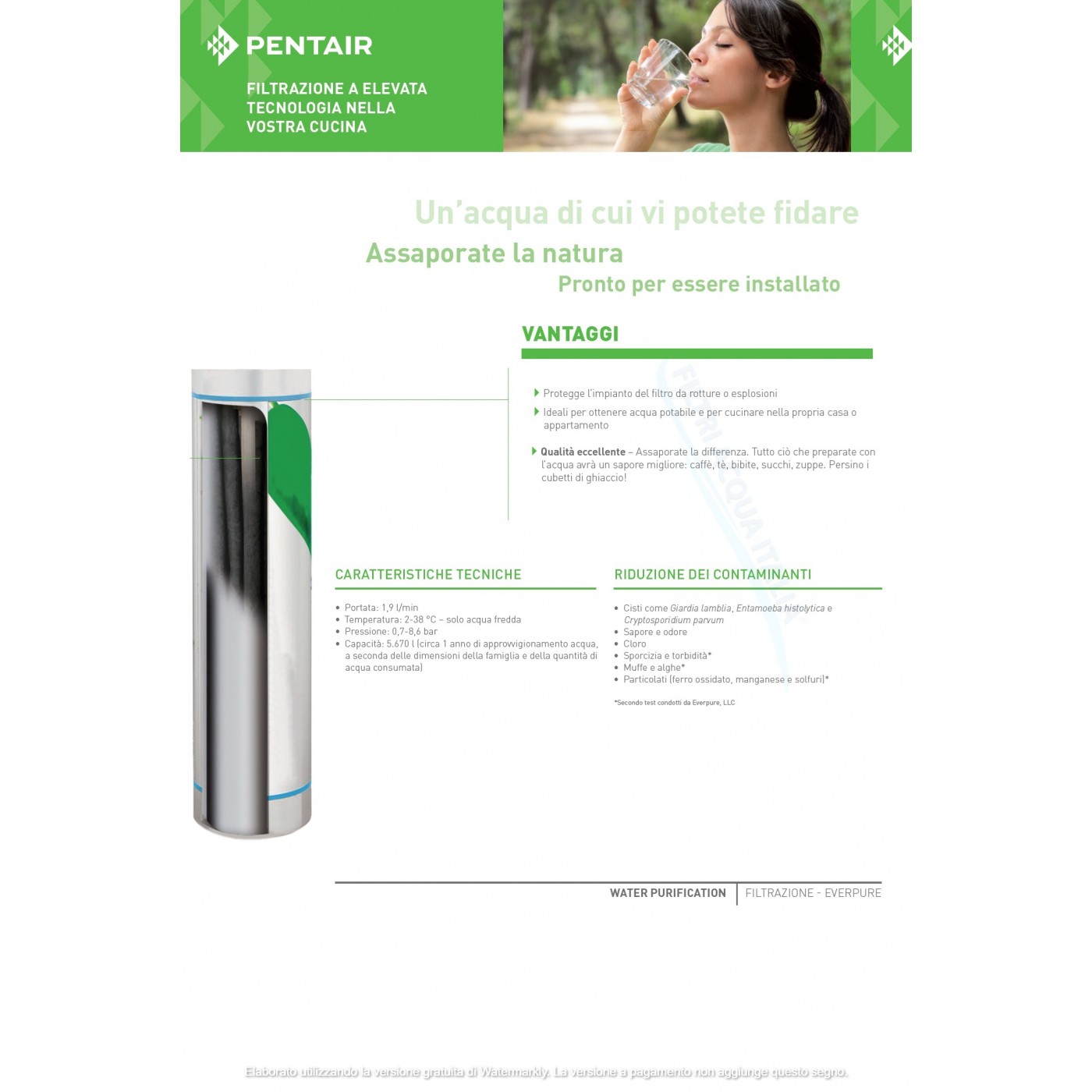 EVERPURE S100 EV9601-04 SET 2 PEZZI EVERPURE S100 EV9601-04 SET 2 PEZZI