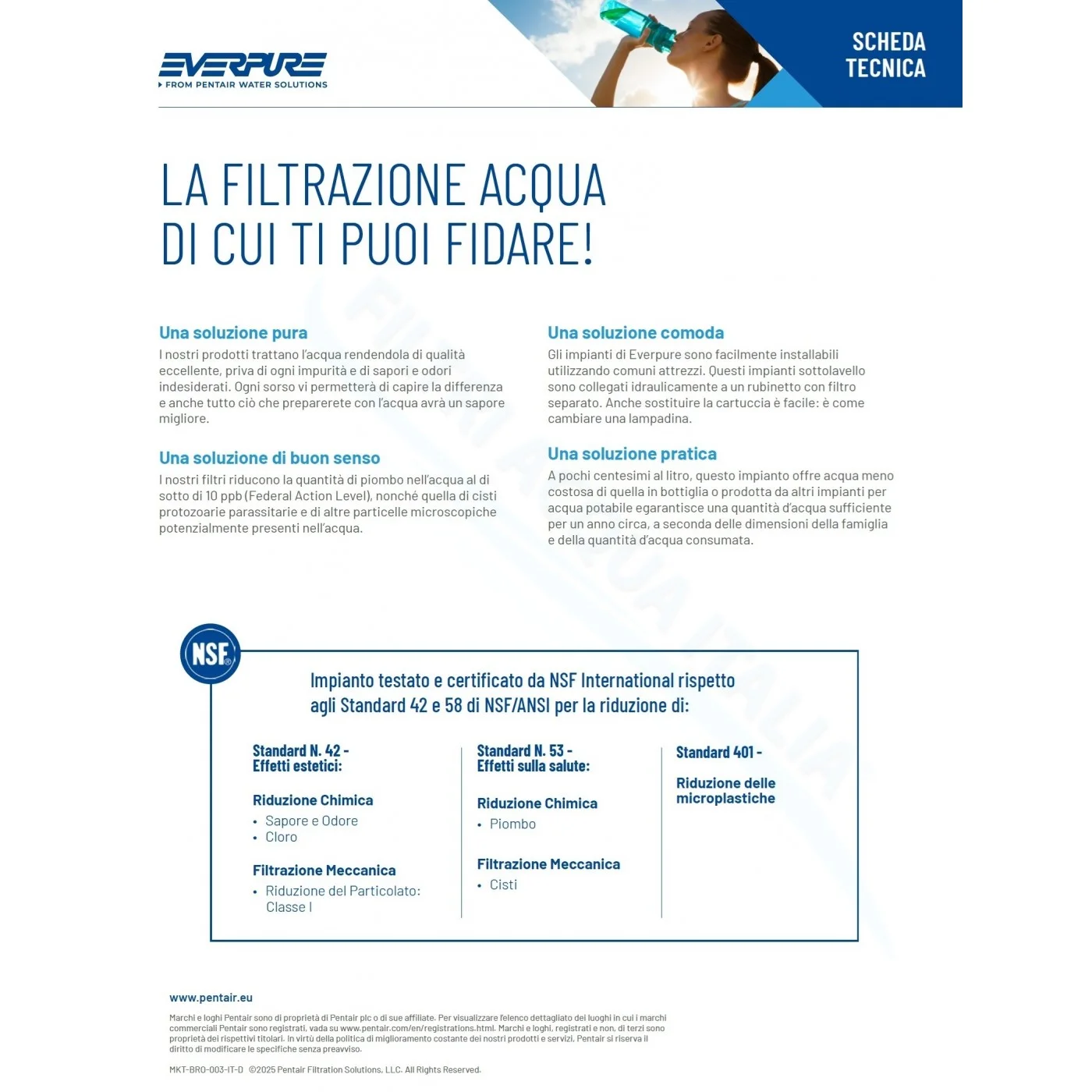 EVERPURE PBS 400 EV927086 | Filtri Acqua Italia® EVERPURE PBS 400 EV927086 | Filtri Acqua Italia®