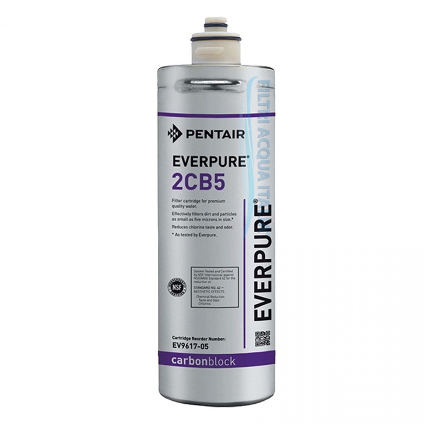 EVERPURE 2CB5 EV9617-05 EVERPURE 2CB5 EV9617-05