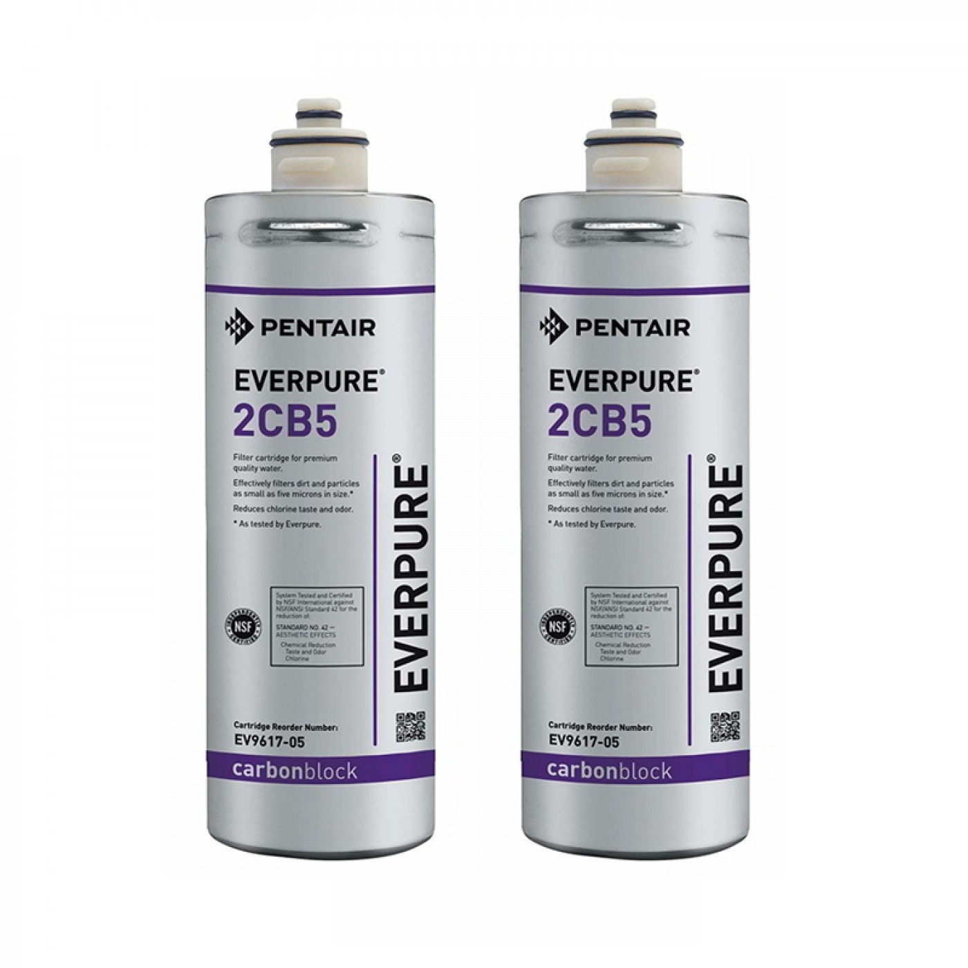 FILTRO EVERPURE 2CB5 EV9617-05 SET 2 PEZZI FILTRO EVERPURE 2CB5 EV9617-05 SET 2 PEZZI