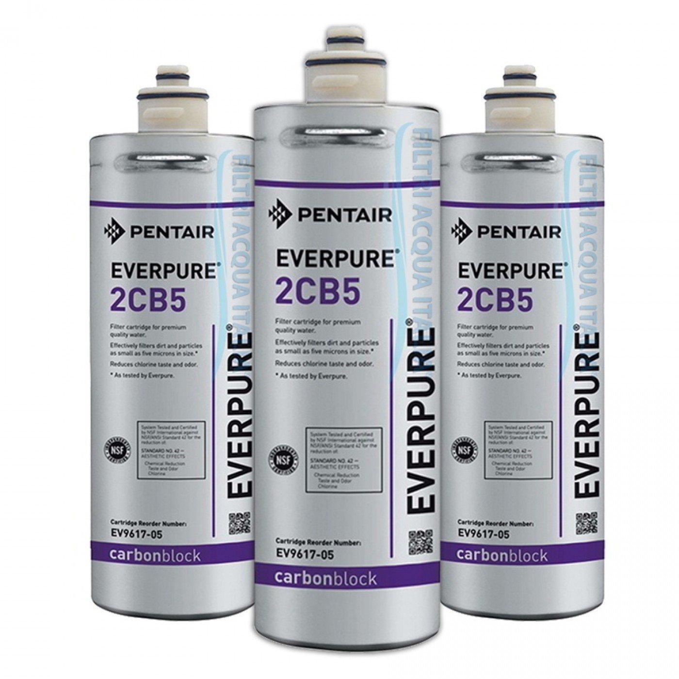EVERPURE 2CB5 EV9617-05 SET 3 PEZZI EVERPURE 2CB5 EV9617-05 SET 3 PEZZI