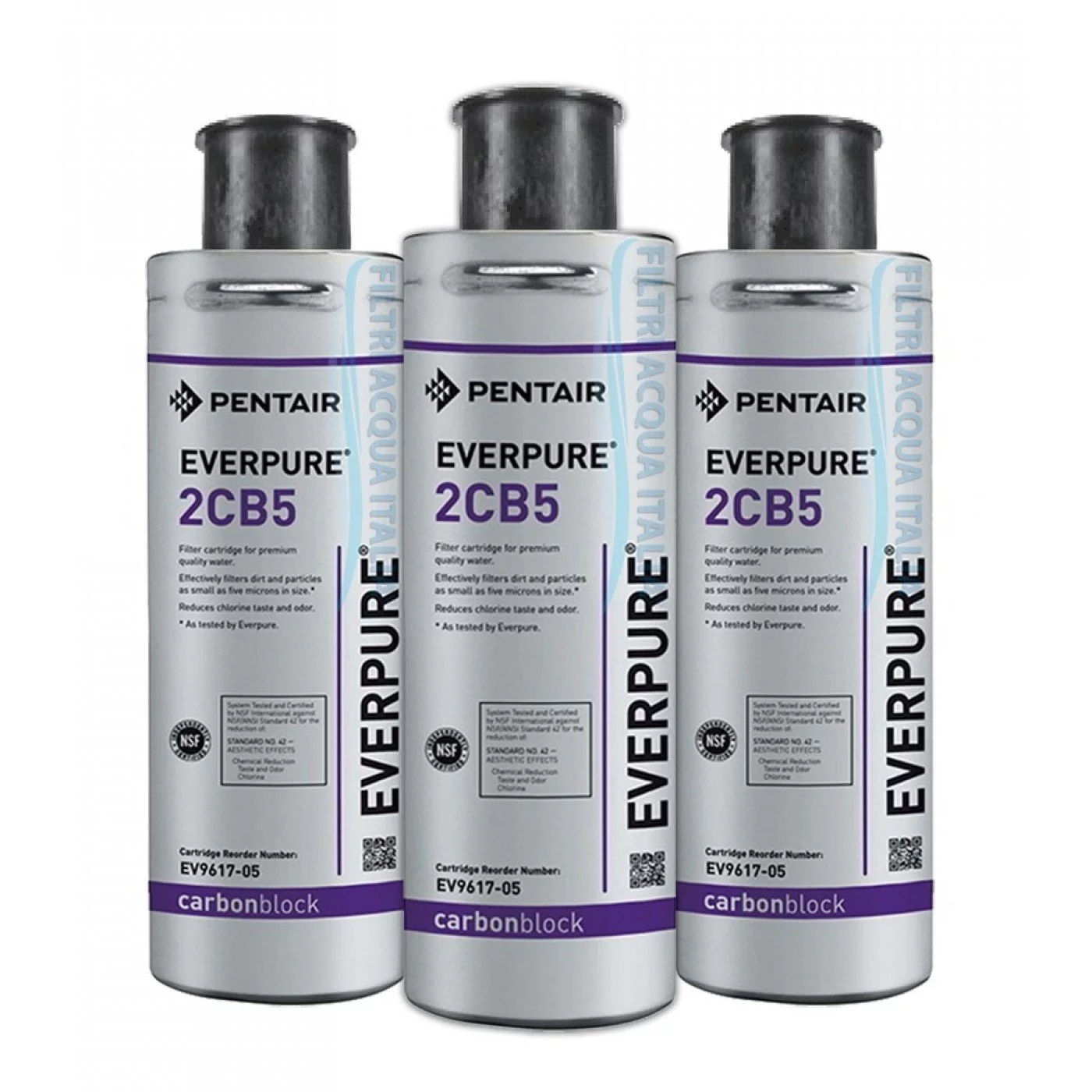 EVERPURE 2CB5 EV9617-05 SET 3 PEZZI EVERPURE 2CB5 EV9617-05 SET 3 PEZZI