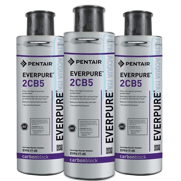EVERPURE 2CB5 EV9617-05 SET 3 PEZZI EVERPURE 2CB5 EV9617-05 SET 3 PEZZI