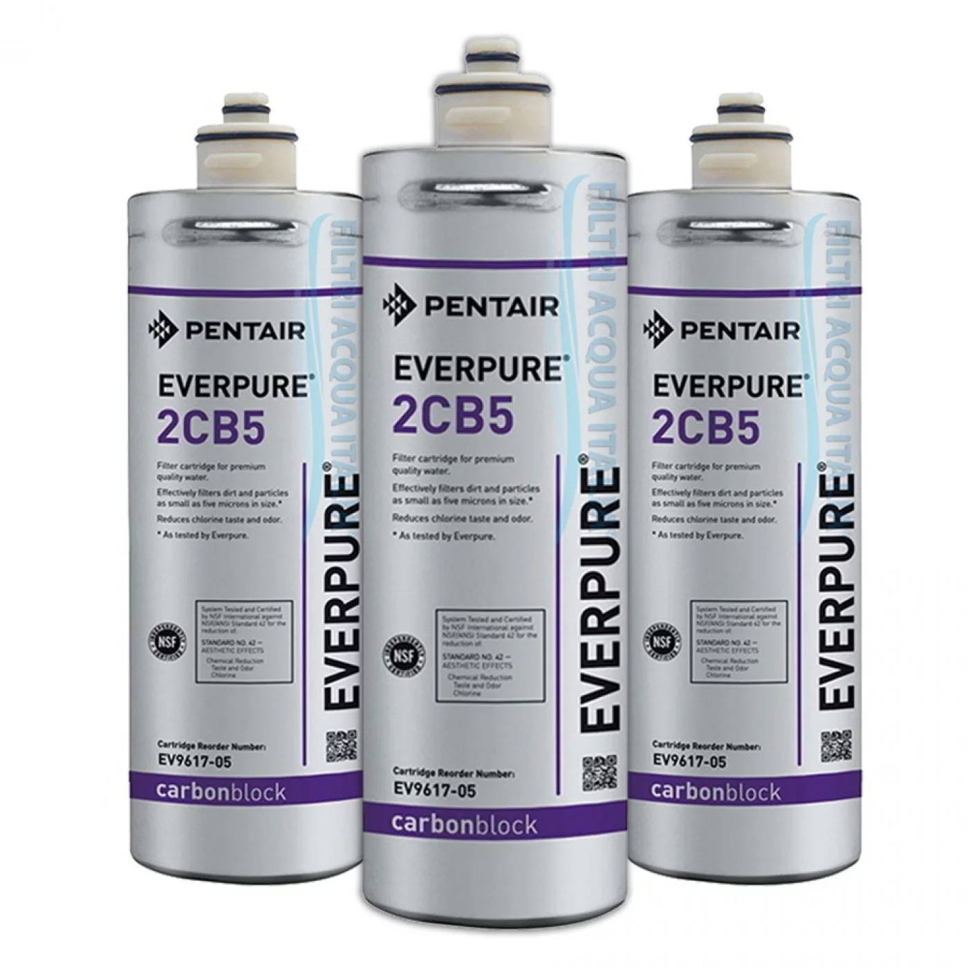 EVERPURE 2CB5 EV9617-05 SET 3 PEZZI EVERPURE 2CB5 EV9617-05 SET 3 PEZZI