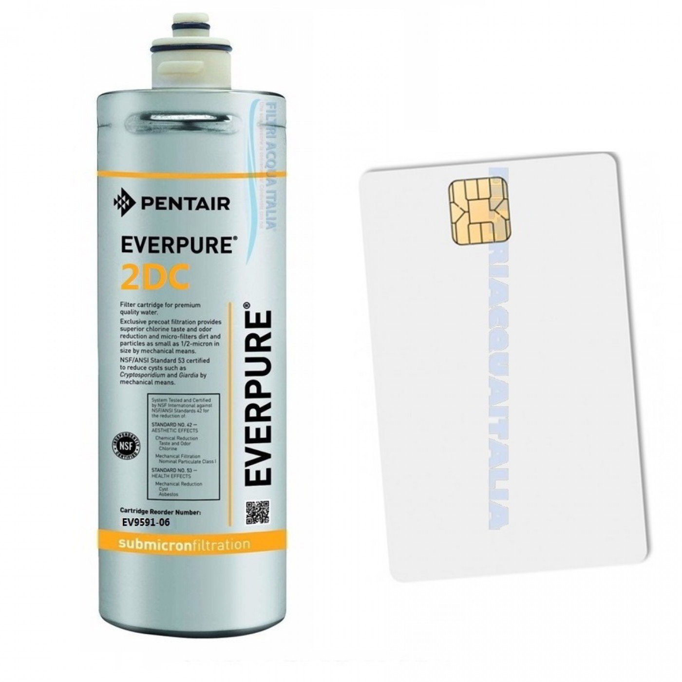 EVERPURE 2DC + Scheda Sblocco Gasatore EVERPURE 2DC + Scheda Sblocco Gasatore