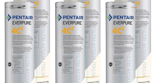 DP2 PFAGPCA 0,3 mcr 600 l/h 3/4 filtro acqua potabile microrganismi batteri virus