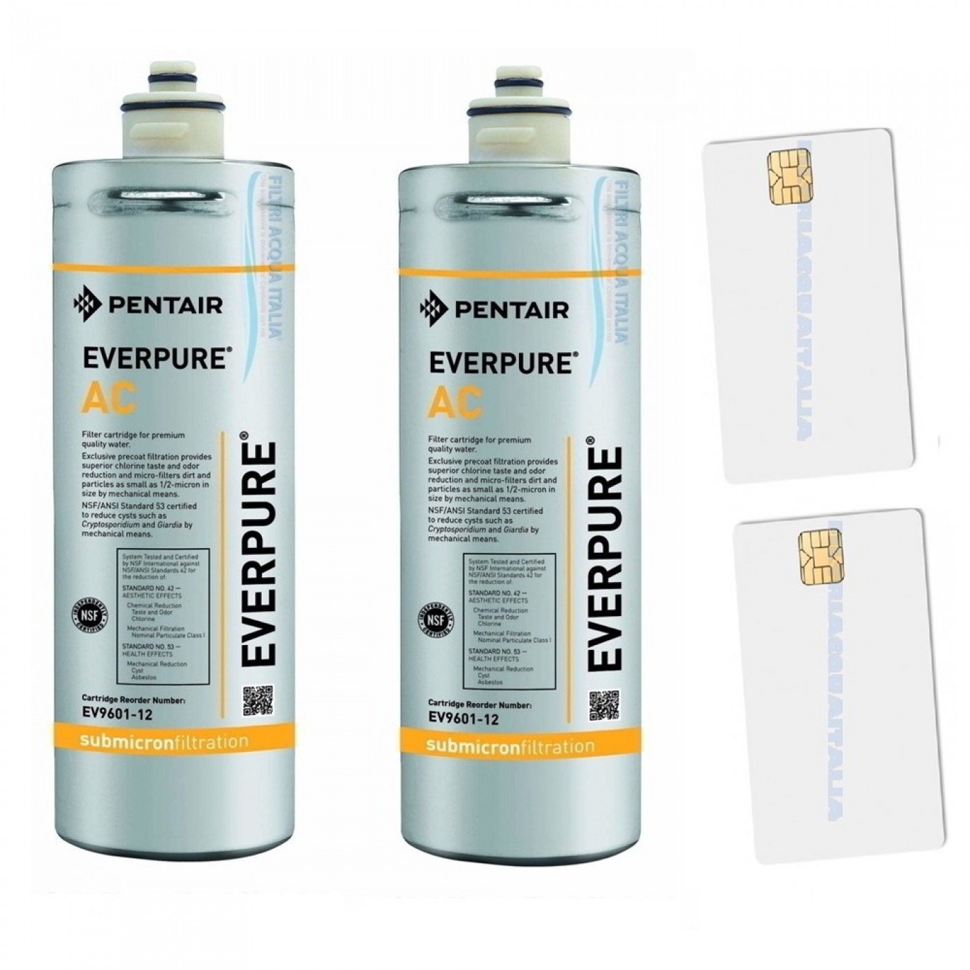 2 Filtri Everpure AC + Scheda Sblocco 2 Filtri Everpure AC + Scheda Sblocco