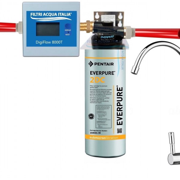 DEPURATORE ACQUA EVERPURE 2DC CON TESTA QL2B CONTALITRI e RUBINETTO DEPURATORE ACQUA EVERPURE 2DC CON TESTA QL2B CONTALITRI e RUBINETTO