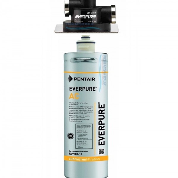 EVERPURE AC KIT CON FILTRO EVERPURE E TESTA QL1 EVERPURE AC KIT CON FILTRO EVERPURE E TESTA QL1
