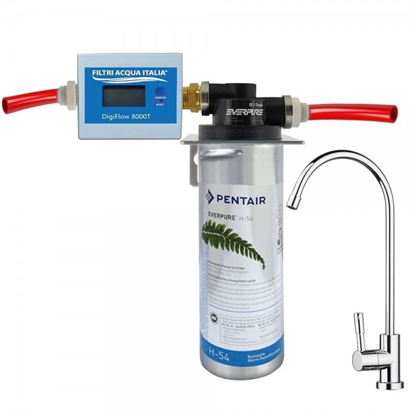 KIT EVERPURE H54 CON CONTALITRI 8000T TESTA QL1 E RUBINETTO KIT EVERPURE H54 CON CONTALITRI 8000T TESTA QL1 E RUBINETTO