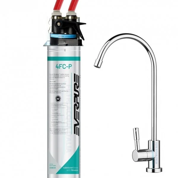 Kit Anti Pfas Acqua Everpure 4FCP