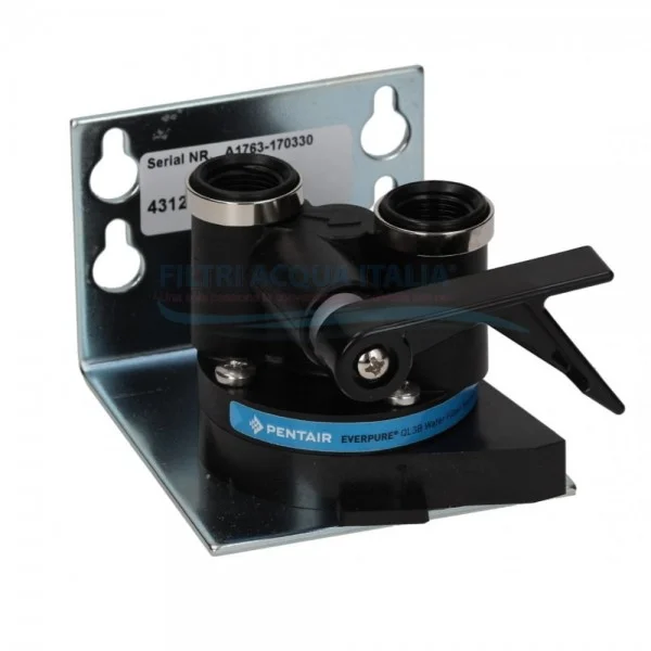 EVERPURE TESTATA QL3B 