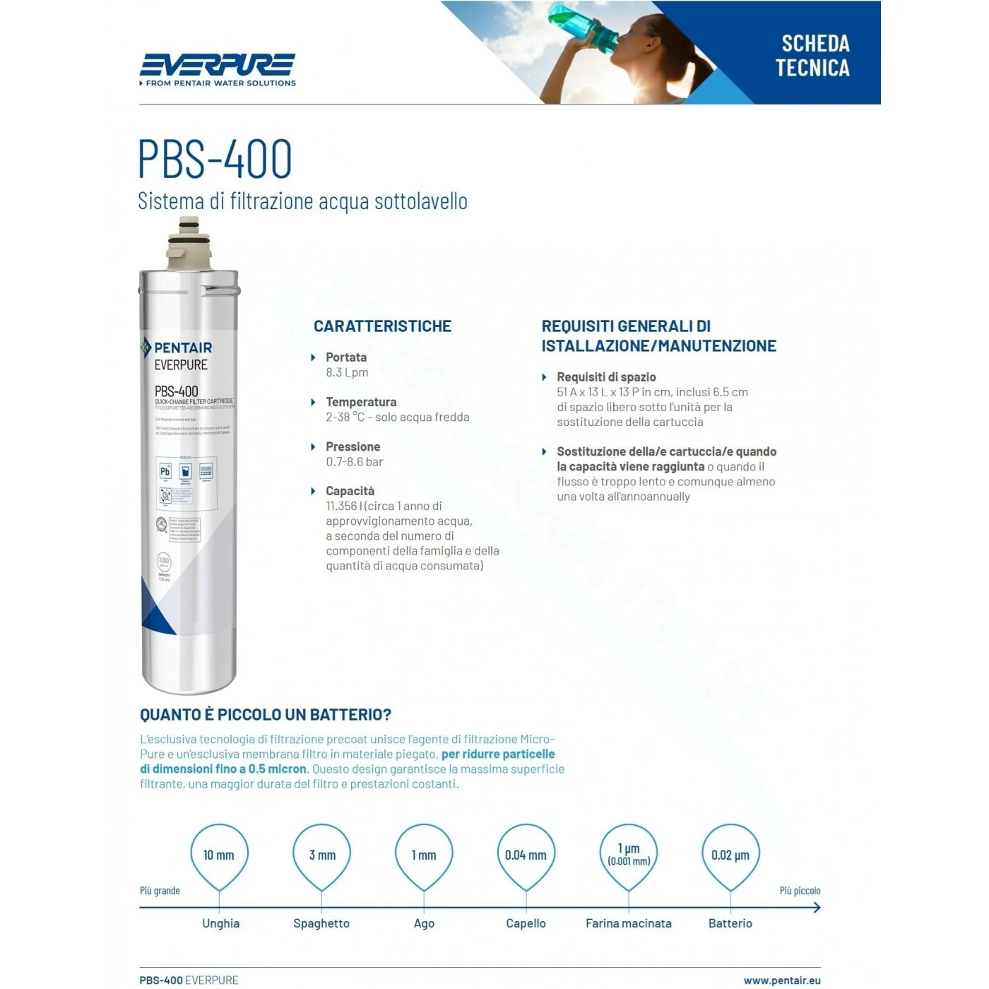 Kit Everpure PBS-400 con Rubinetto e Testata QL3B Kit Everpure PBS-400 con Rubinetto e Testata QL3B