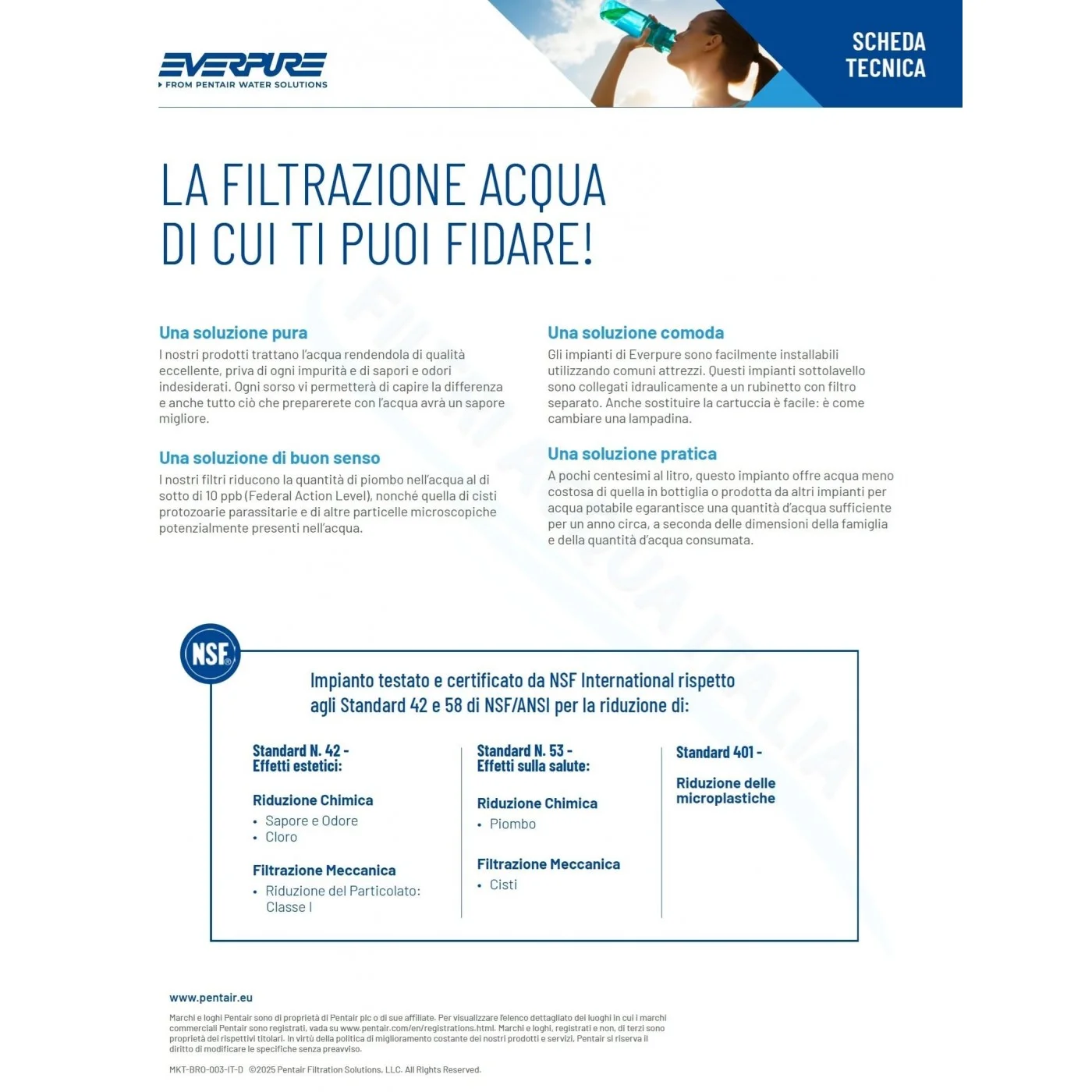 Kit Everpure PBS-400 con Rubinetto e Testata QL3B Kit Everpure PBS-400 con Rubinetto e Testata QL3B