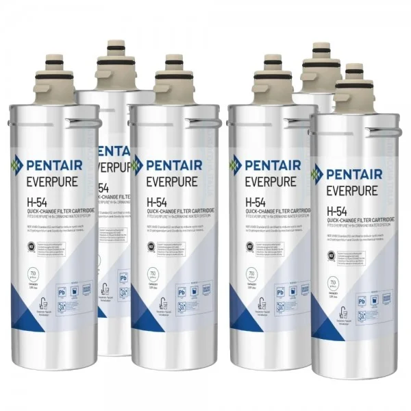 Everpure H54 EV9730-06 Set 6 Pz.