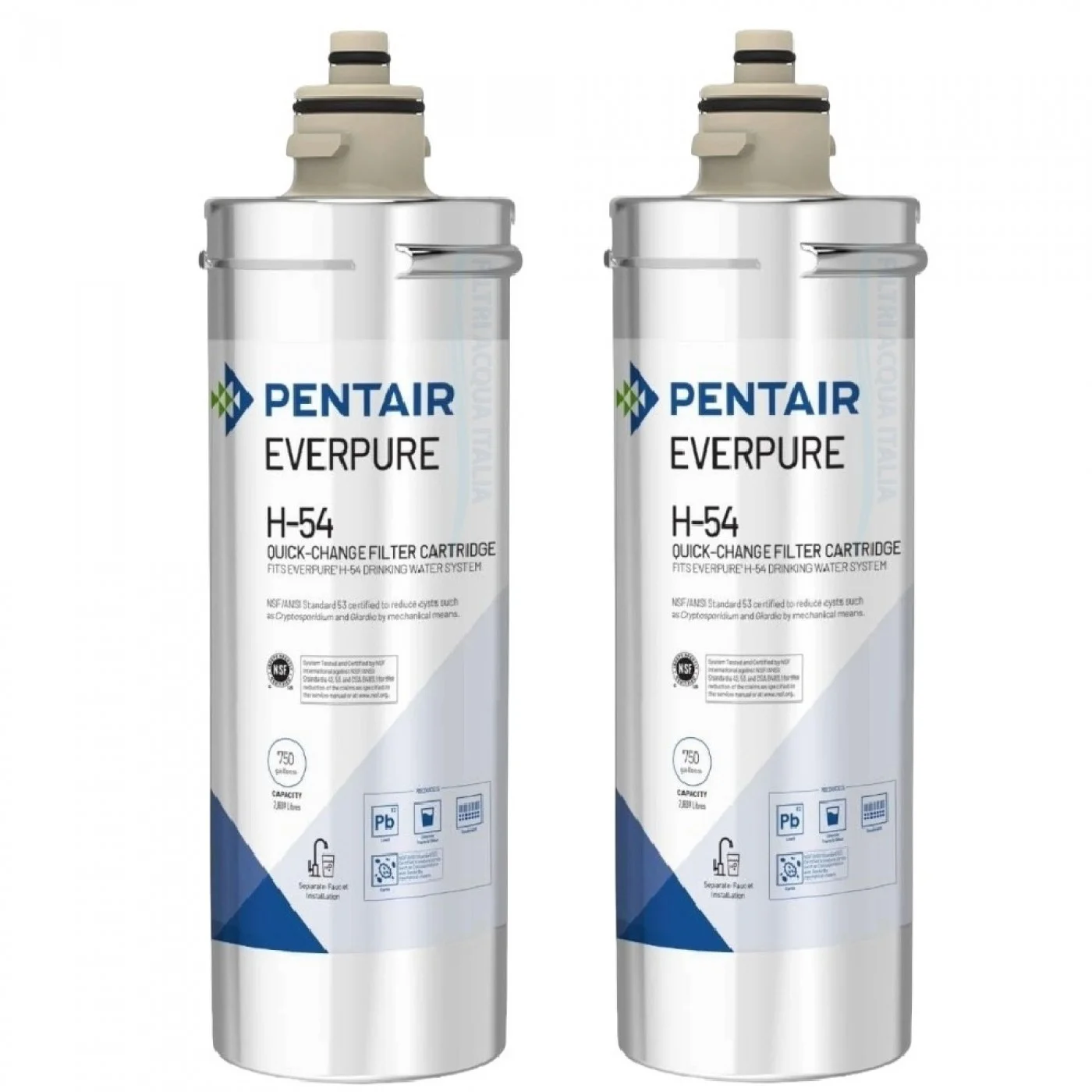 Everpure H54 EV973006 Set 2 Pezzi Everpure H54 EV973006 Set 2 Pezzi
