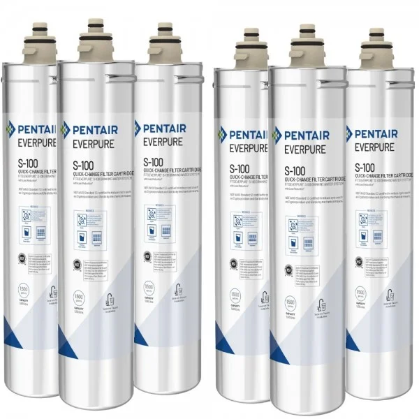 Everpure S100 EV9601-04 Set 6 Pz.