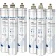 Everpure S100 EV9601-04 Set 6 Pz. Everpure S100 EV9601-04 Set 6 Pz.