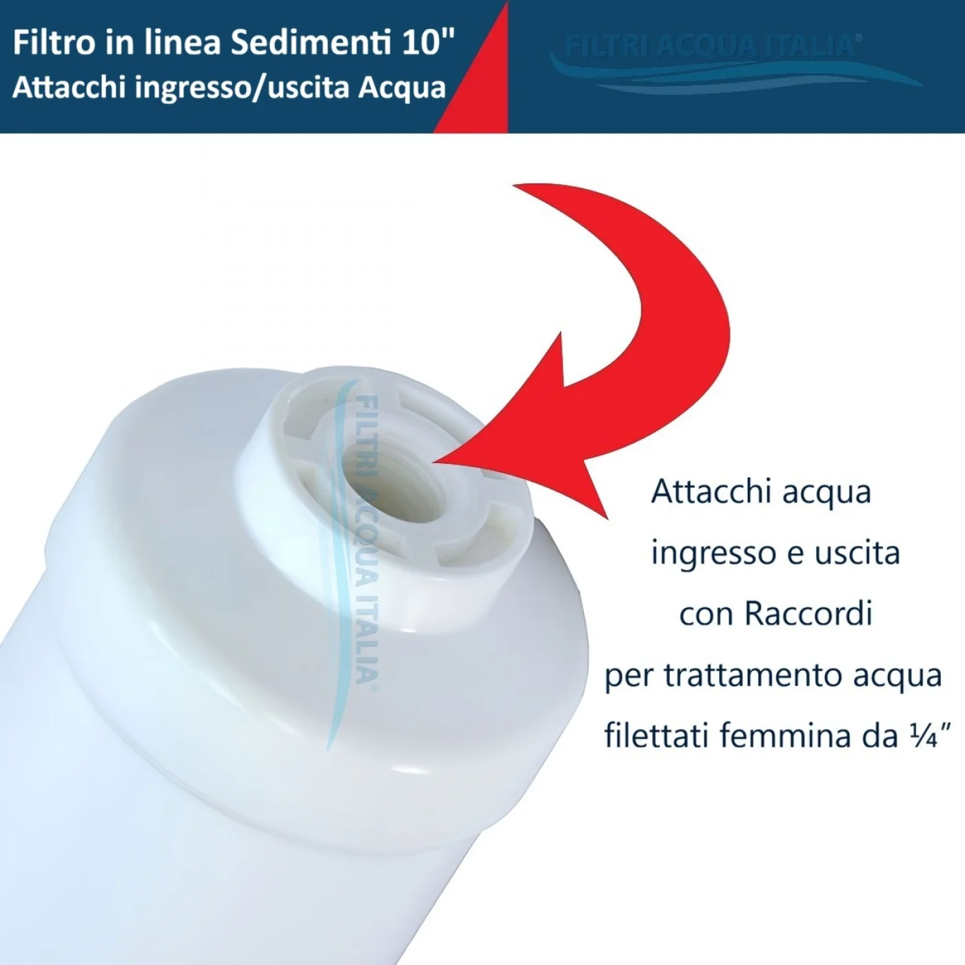 FILTRO IN LINEA SEDIMENTI 2 X 10" FILTRO IN LINEA SEDIMENTI 2 X 10"
